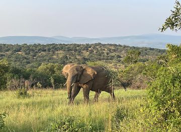 rwanda/akagera-national-park/landmark/hills-in-the-mist-tours