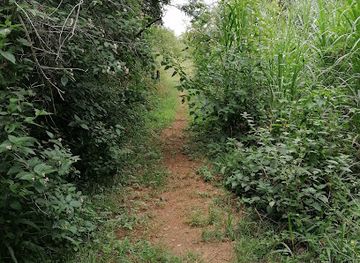 south-africa/nelspruit/landmark/nelspruit-private-nature-reserve