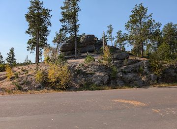 Black Hills National Forest