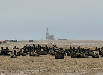 namibia/walvis-bay/landmark/namibia-kayak-tours