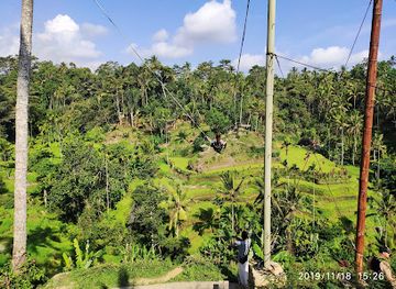 indonesia/highlands-papua/landmark/ceking-rice-terrace