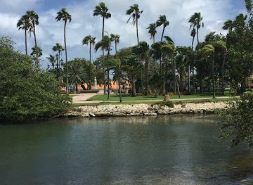 aruba/natural-pool/landmark/queen-wilhelmina-park