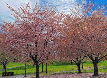 pennsylvania/allentown/landmark/old-allentown-preservation-association
