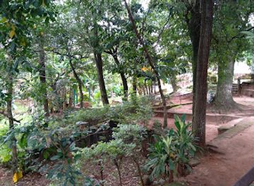 paraguay/caaguazu-plains/landmark/ykua-la-patria-park