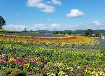 japan/hokkaido/landmark/zerubu-hill