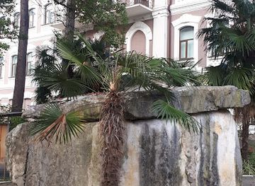 georgia/abkhazia/landmark/abkhazian-state-museum