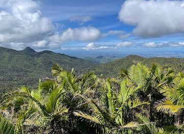 puerto-rico/sierra-de-luquillo/landmark/torre-britton