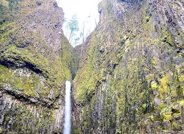 oregon/cascade-mountains/landmark/dry-creek-falls