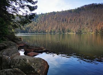 czechia/sumava-national-park/landmark/certovo-jezero