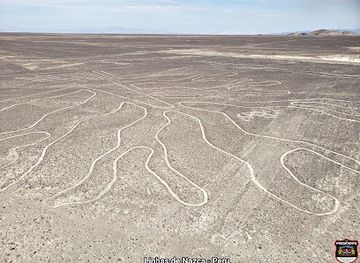 peru/nazca-lines/landmark/naska-jisanghwa
