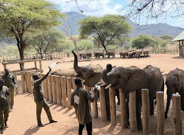 kenya/north-eastern-province/landmark/namunyak-wildlife-conservation-trust