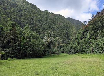 french-polynesia/papeete/landmark/fautaua-valley