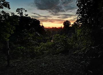 ecuador/amazon/landmark/tiputini-biodiversity-station