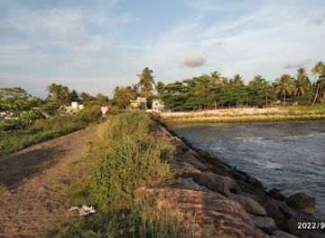 india/kerala-backwaters/landmark/chellanam-beach-kochi