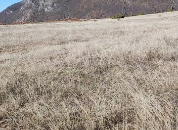 albania/kurbin/landmark/maja-e-korres