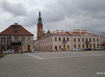 poland/radom/landmark/palace-deskurow-in-radom