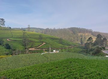 sri-lanka/nuwara-eliya/landmark/moon-plains