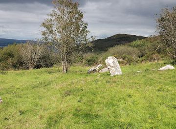 ireland/county-tipperary/landmark/graves-of-the-leinstermen