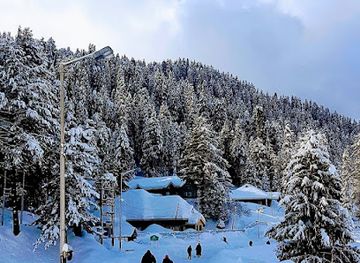 india/gulmarg/landmark/himalayan-edges-skitrektravel