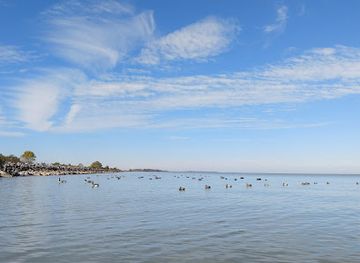 ohio/lake-erie-islands/landmark/magee-marsh-wildlife-area