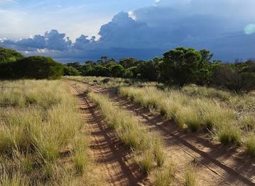 australia/mallee/landmark/mallee-conservation