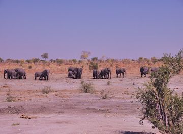 namibia/etosha-national-park/landmark/khaudum-national-park
