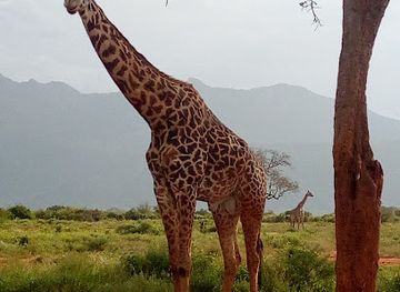 kenya/malindi/landmark/eco-borders-safaris