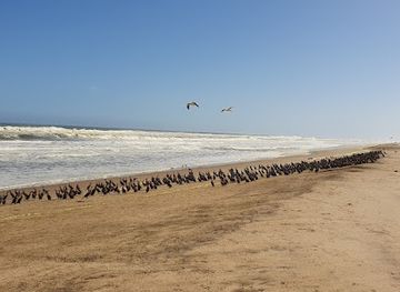 namibia/swakopmund/landmark/amazing-5-tours-namibia