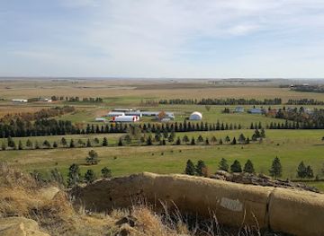 north-dakota/prairie-pothole-region/landmark/salem-sue