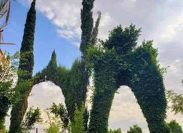 yemen/al-jawf/landmark/arboretum-and-flowers-happy-yemen