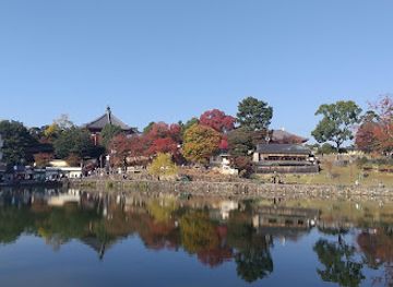 japan/nara-countryside/landmark/mt-kasuga-primeval-forest