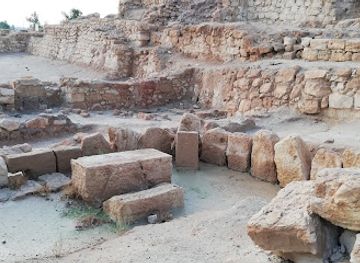 israel/southern-district/landmark/blossoming-rose-biblical-tomar-park