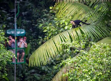 costa-rica/caribbean-coast/landmark/rainforest-adventures-braulio-carrillo