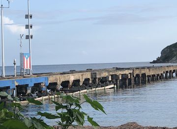 puerto-rico/vieques-island/landmark/vieques-good-vibe-house-always-open