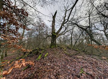 germany/upper-palatinate/landmark/schillereiche-auf-dem-wartekopf