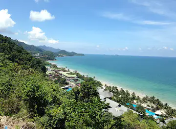 View point