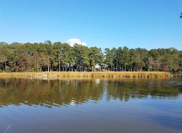 virginia/northern-neck/landmark/bush-mill-stream-natural-area-preserve