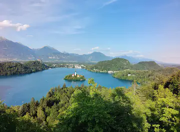Ojstrica