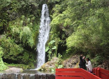 chile/araucania-region/landmark/termas-geometricas