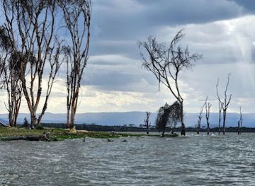 kenya/naivasha/landmark/watamu-boat-rides-naivasha