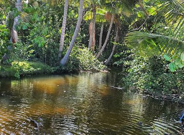 puerto-rico/yunque-national-forest/landmark/playa-costa-azul