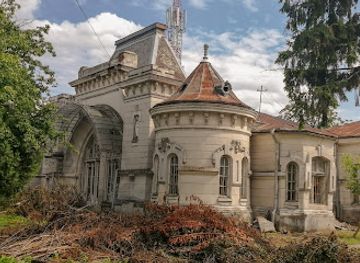 romania/botosani/landmark/casa-silion