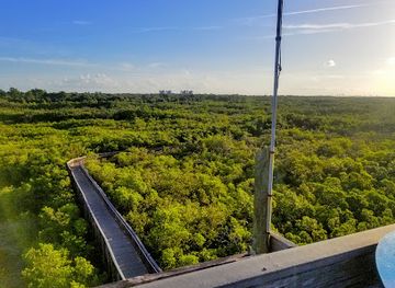 florida/northeast-florida/landmark/weedon-island-preserve
