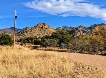 arizona/cochise-county/landmark/johnny-ringo-grave