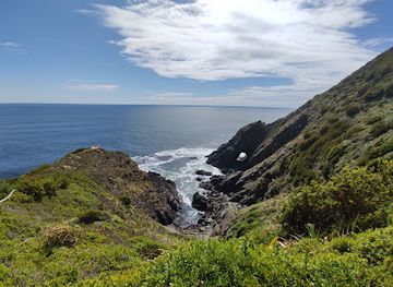 chile/valdivia/landmark/punta-curinanco
