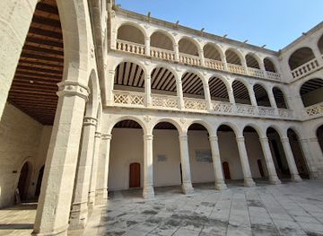 spain/valladolid/landmark/palacio-de-santa-cruz