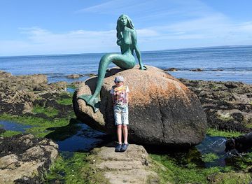 united-kingdom/ross-shire/attraction/mermaid-of-the-north-2