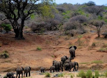 benin/pendjari-national-park/landmark/w-national-park-benin