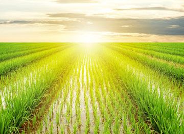 india/tamil-nadu/landmark/mullimunai-entry