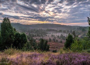 germany/lüneburg-heath/landmark/totengrund